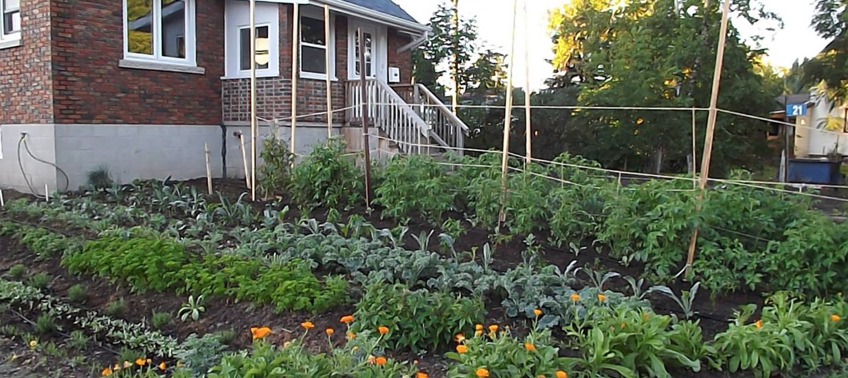 Meet the growers with urban agriculture from Green Wheel Farms in the Bay of Quinte