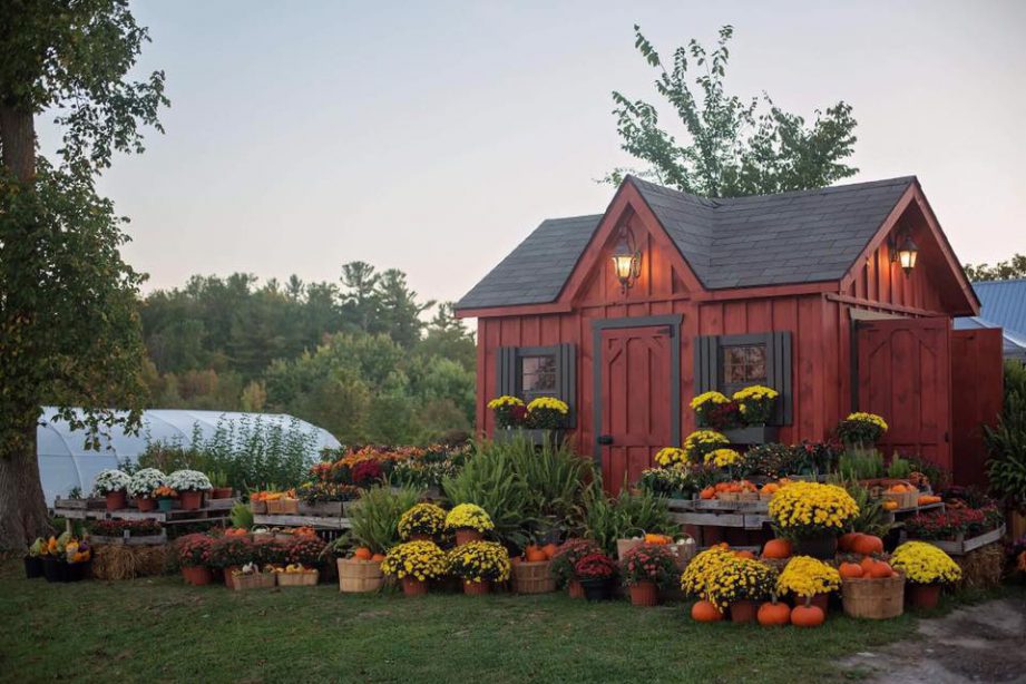 Dahlia May Flower Farm Quinte