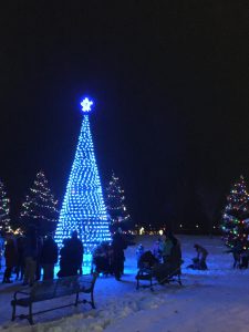 Belleville Christmas Lights Jane Forrester Park 3