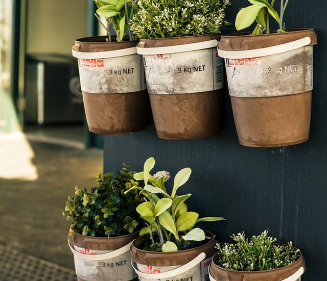 Carson Arthur How To Grow Window Sill Herbs