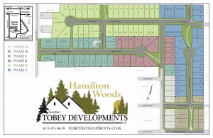 Tobey Developments neightbourhood plan