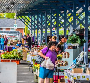 People browsing a stand at the farmers' market.