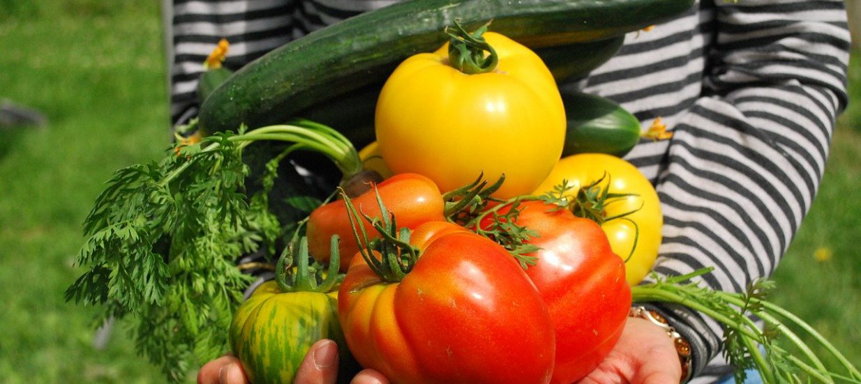 A person holding a handful of vegetables from the garden.