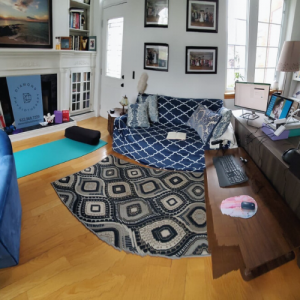 A living room with furniture.