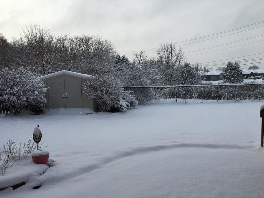 A backyard covered with snow.