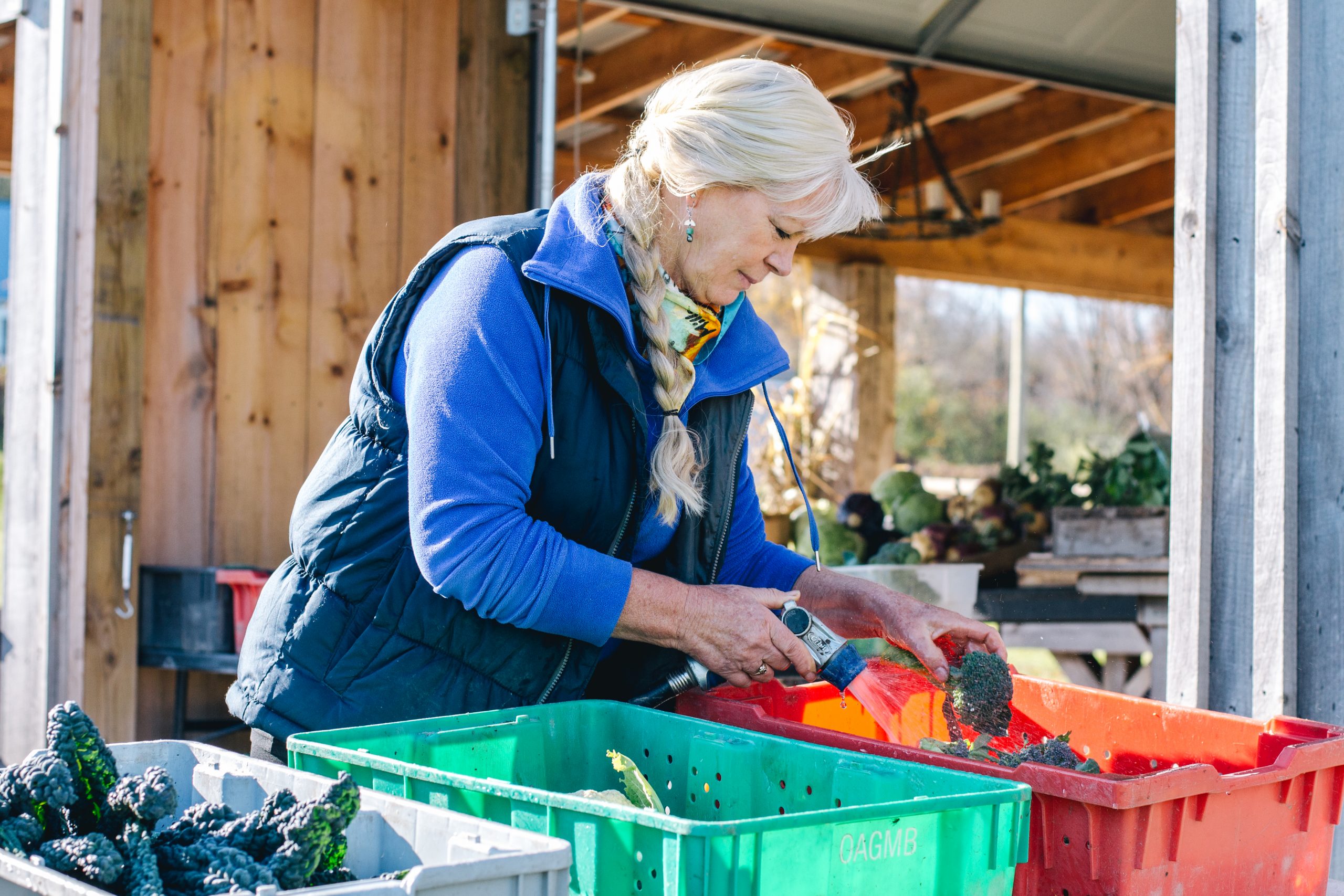 Sue Vanden Bosch of Willow Creek Farms stands at a table outside the farm stand washing produce.