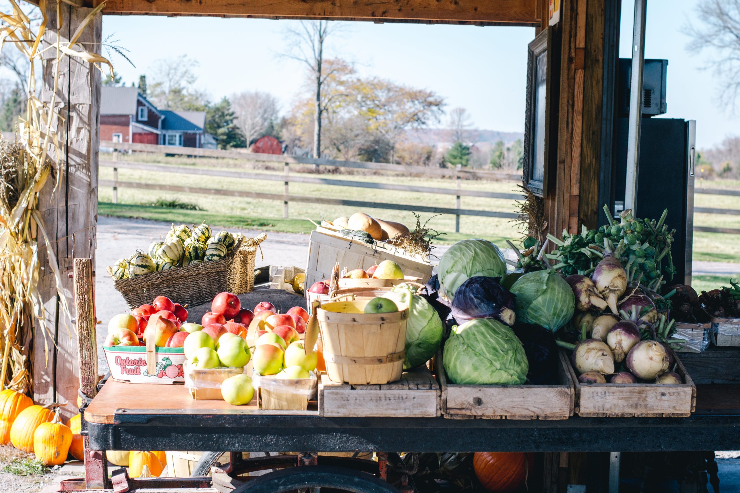 Piles of local, fresh produce at the Willow Creek Farms farm stand.