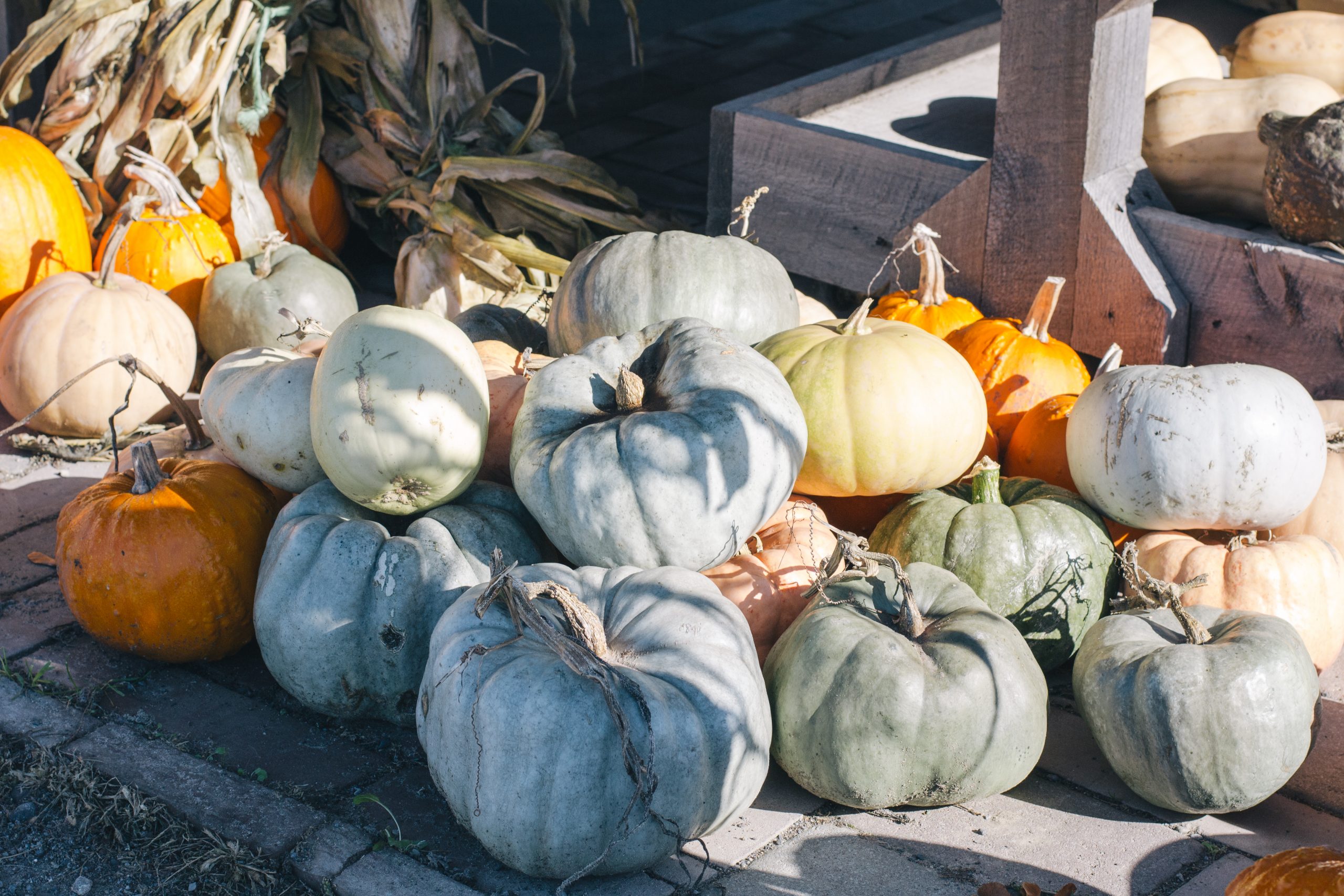 Piles of squash and gourds at Willow Creek Farms farm stand in Quinte West.