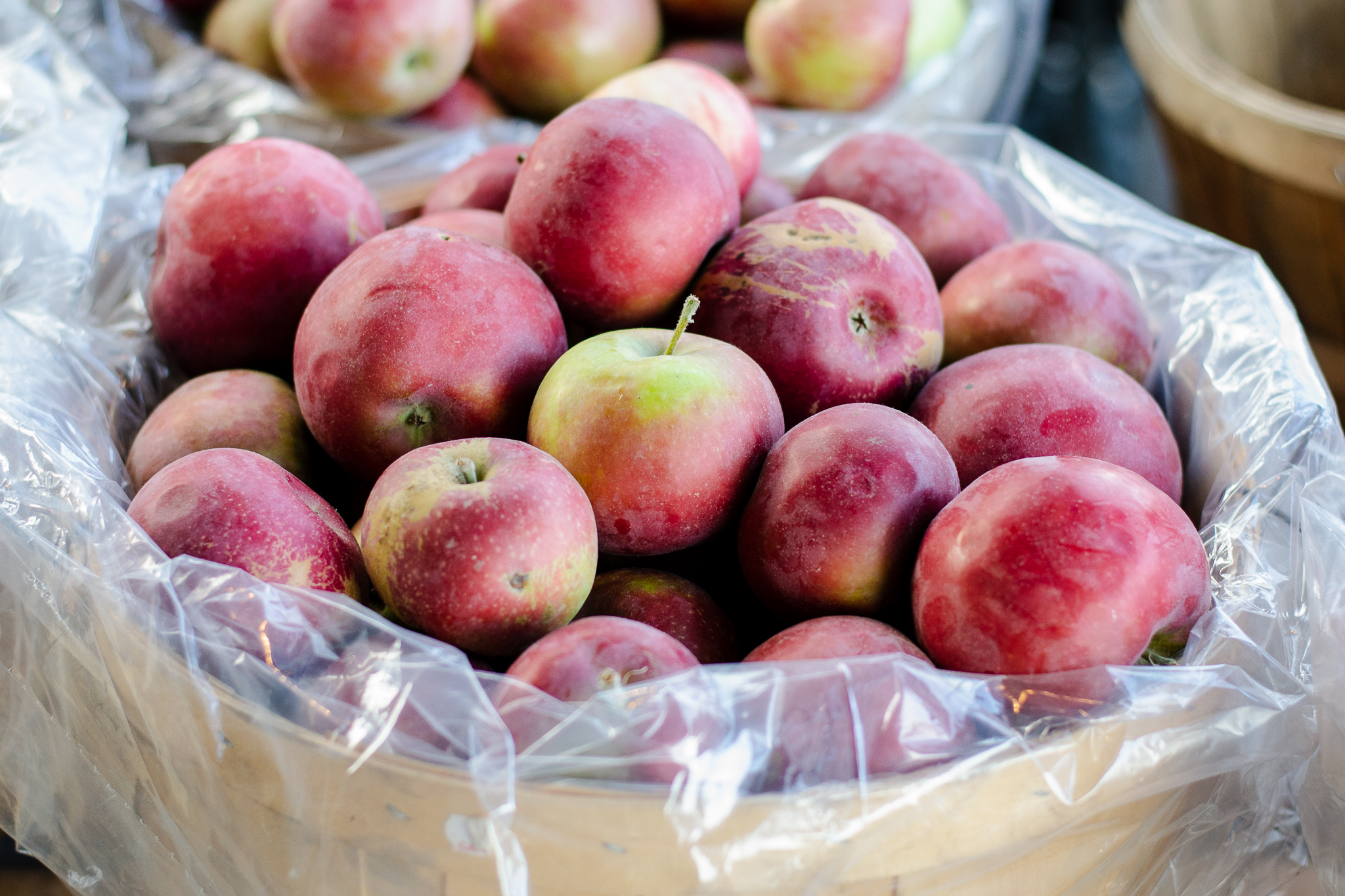 A basket filled with apples at Cheer Farms in Brighton.