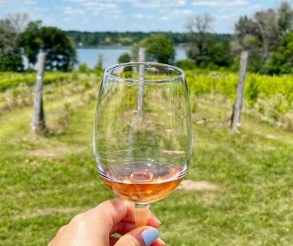 a glass of wine held up against the backdrop of a waterfront vineyard in the Greater Napanee wine region